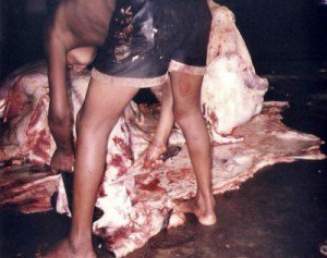 Fotos: Divulgação/SRTE-MT
