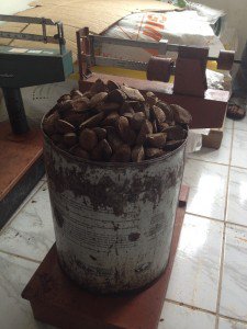 castanha2
